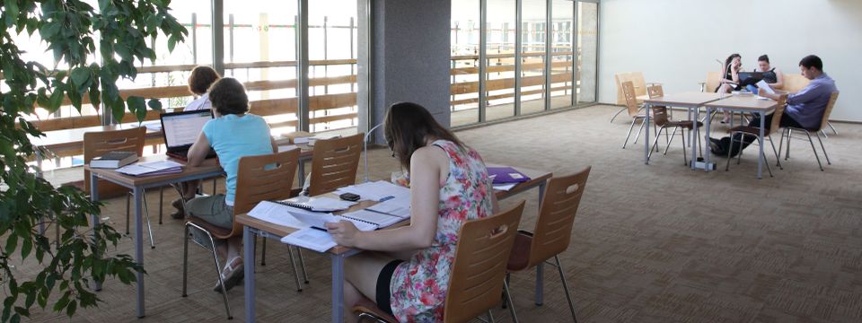 Centrum Kultury i Języka Chińskiego