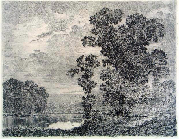 KLONY NAD WODĄ, akwaforta, 1952 r., 21 x 2