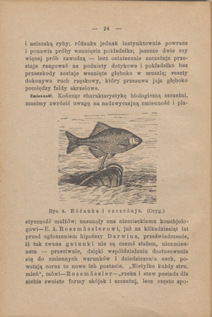 Domena publiczna 2020 - ucyfrawiamy